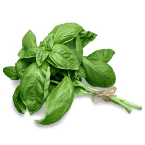 Basil Olive Oil (EVOO)