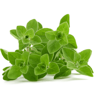 Oregano Olive Oil (EVOO)